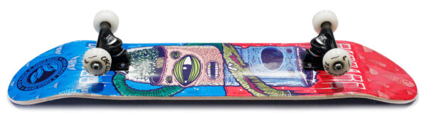 Skate CISCO Montado Iniciante Desordem