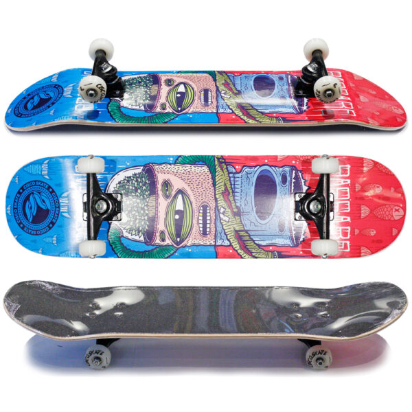 Skate CISCO Montado Iniciante Desordem